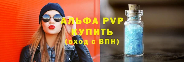 трава Белокуриха