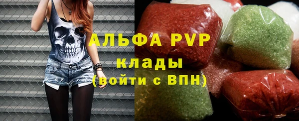 трава Белокуриха