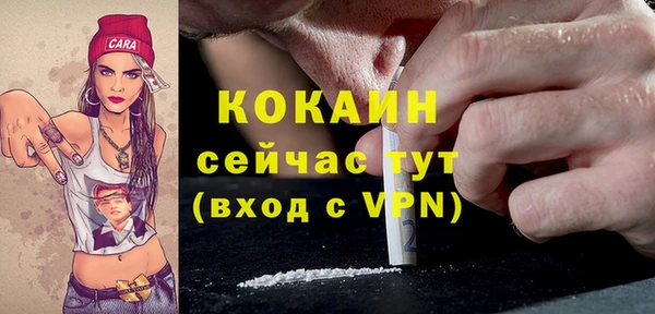 трава Белокуриха