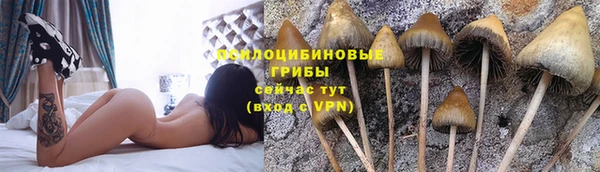 кокс Белоозёрский