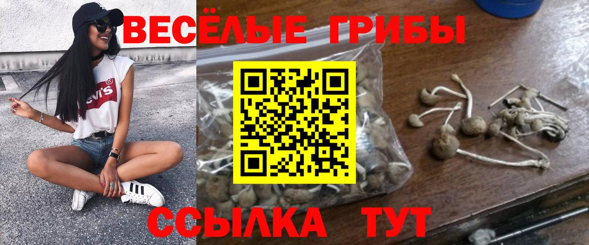 Псилоцибиновые грибы GOLDEN TEACHER  Вход с VPN  Псилоцибиновые грибы MAGIC MUSHROOMS  Бирск 