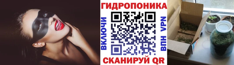 Бошки марихуана план  Бирск 